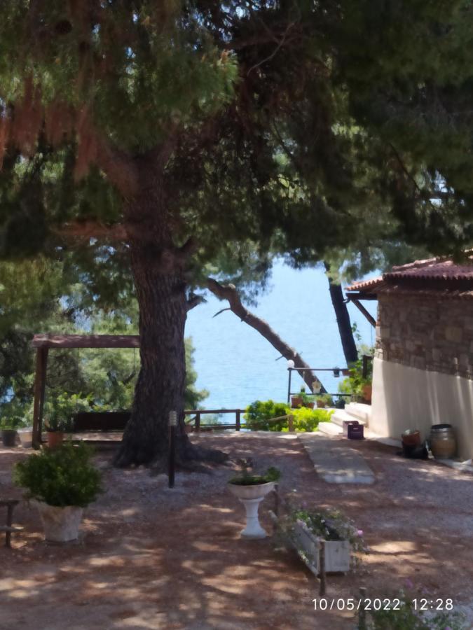 Pefkonas Apartments2 100 M From The Beach Psakoúdia Eksteriør bilde